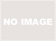 竣工式におすすめの胡蝶蘭と選び方｜「ジャングルジャック」　（東京都港区の花キューピット加盟店 花屋）のブログ